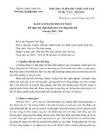 Bản báo cáo thành tích cá nhân khen thưởng LĐTT 2011