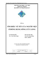 tìm hiểu về tết của người việt ở đồng bằng sông cửu long