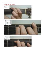 Các thế bấm SOL Trưởng