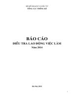 Báo cáo Điều tra Lao động việc làm năm 2014