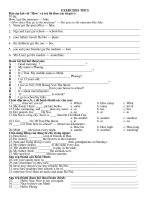 exercises on the simple past