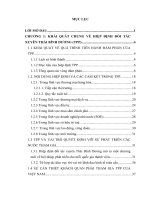 HIỆP ĐỊNH ĐỐI TÁC XUYÊN THÁI BÌNH DƯƠNG