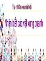 Bai Nhan biet cac vat xung quyanh