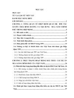 HOẠT ĐỘNG ĐẤU THẦU CÁC DỰ ÁN MUA SẮM CHÍNH PHỦ CỦA VIỆT NAM DƯỚI ẢNH ẢNH HƯỞNG CỦA HIỆP ĐỊNH TPP