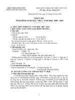 Báo cáo TK năm học 2009   2010