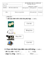 đề thi giao lưu Tiếng Việt chúng em