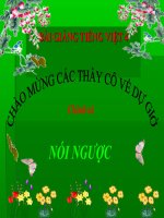 Bài giảng tiếng việt 4 tuần 34 bài chính tả   nghe   viết  nói ngược  phân biệt rdgi, dấu hỏi  dấu ngã 