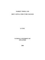 Market timing and REIT capital structure changes
