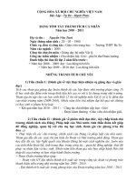 Mẫu tóm tắt thành tích cá nhân