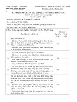 Bản nhận xét, đánh giá, xếp loại viên chức A4