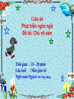 Phát triển ngôn ngữ 3 tuổi