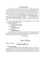 Sáng kiến kinh nghiệm Địa lí 8