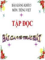 Bài giảng tiếng việt 5 tuần 4 bài bài ca về trái đất 