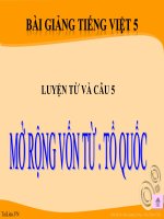 Bài giảng tiếng việt 5 tuần 2 bài mở rộng vốn từ tổ quốc 