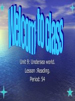 Unit 9: Undersea World