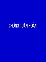 Bài giảng sinh lý tuần hoàn