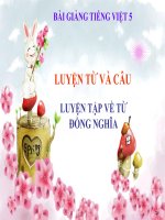 Bài giảng tiếng việt 5 tuần 3 bài luyện từ và câu   luyện tập về từ đồng nghĩa 