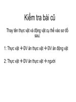 bai 46 Vai tro cua thuc vat do voi doi song con nguoi