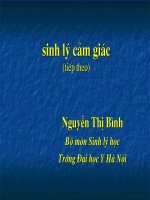 Bài giảng sinh lý cảm giác phần 2