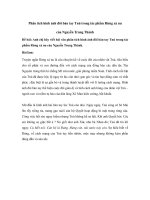 Phân tích hình ảnh đôi tay Tnú