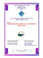 chế định lỗi trong luật hình sự việt nam