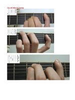 Các thế bấm SI Trưởng