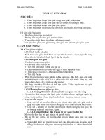 Bài giảng sinh lý cảm giác