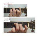 Các thế bấm FA Trưởng