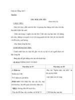 Giáo án tiếng việt 5 tuần 2 bài sắc màu em yêu 