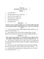 BUÔN LẬU VÀ GIAN LẬN THƯƠNG MẠI ,PHÒNG CHỐNG BUÔN LẬU ,GIAN LẬN THƯƠNG MẠI CỦA HẢI QUAN VIỆT NAM