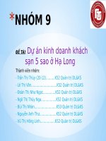 thảo luận đề tài dự án kinh doanh khách sạn 5 sao ở hạ long