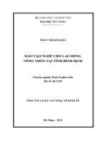 ĐÀO tạo NGHỀ CHO LAO ĐỘNG NÔNG THÔN tại TỈNH BÌNH ĐỊNH 