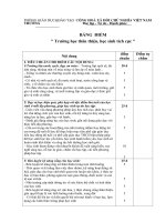 Bảng chấm điểm thi đua trường học thân thiện năm 2009   2010