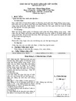 Giáo án Hội giảng tỉnh