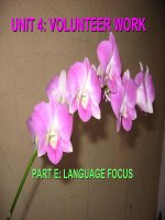 Unit 4: Volunteer Work   Language Focus