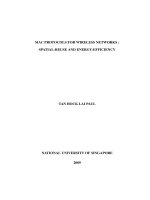 MAC protocols for wireless networks spatial reuse and energy efficiency