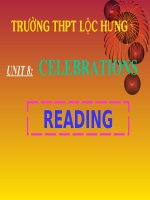 Unit 8: Celebrations   Reading