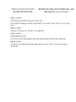 Đề kiểm tra học kì 2 môn Ngữ Văn lớp 8 năm 2013 trường THCS Hồ Tùng Mậu