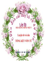 Bài giảng tiếng việt 5 tuần 15 bài luyện từ và câu   tổng kết vốn từ 