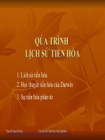 Bài giảng quá trình lịch sử tiến hóa  nguyễn ngoc hưng