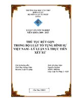 thủ tục rút gọn trong bộ luật tố tụng hình sự việt nam  lý luận và thực tiễn xét xử
