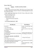 Giáo án tiếng việt 5 tuần 13 bài tập đọc người gác rừng tí hon 