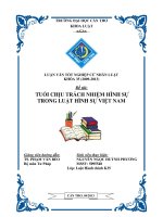 tuổi chịu trách nhiệm hình sự trong luật hình sự việt nam