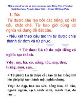 MOT SO NOI DUNG VE TU VA CAU LOP 4 5