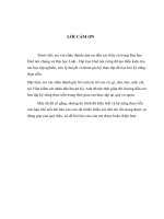 Thực tiễn kiểm sát giải quyết các vụ án về trộm cắp tài sản tại viện kiểm sát nhân dân huyện kỳ anh, tĩnh hà tĩnh