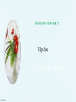 Bài giảng tiếng việt 5 tuần 9 bài tập đọc   cái gì quý nhất 