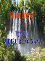 Bài giảng tiếng việt 5 tuần 8 bài tập đọc   kì diệu rừng xanh 