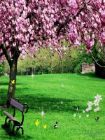 cau tao va chuc nang cua da