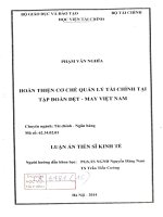 hoàn thiện cơ chế quản lý tài chính tại tập đoàn dệtmay việt nam