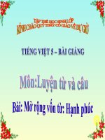 Bài giảng tiếng việt 5 tuần 15 bài luyện từ và câu   mở rộng vốn từ hạnh phúc 